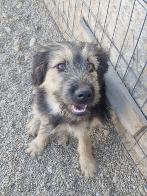 Whatsapp image 2025 09 14 at 15.43.21