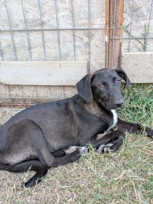 Whatsapp image 2025 09 15 at 11.19.40