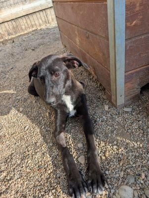 Whatsapp image 2025 09 15 at 11.19.48 (1)