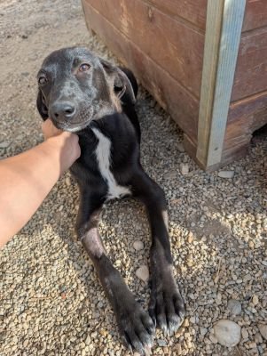 Whatsapp image 2025 09 15 at 11.19.48 (2)