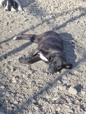 Whatsapp image 2025 09 15 at 11.21.14 (1)