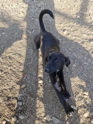 Whatsapp image 2025 09 15 at 11.21.14