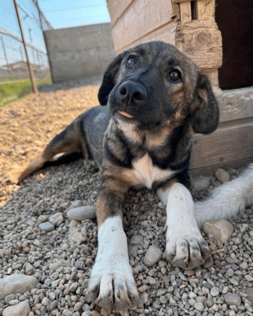 2025 08 15 09 25 29 zuleika ❤️ zarte seele sucht lieblingsmenschen in schleswig holstein lübeck