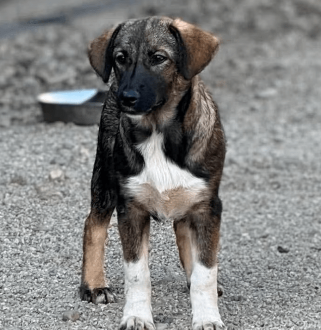 2025 08 15 09 25 37 zuleika ❤️ zarte seele sucht lieblingsmenschen in schleswig holstein lübeck