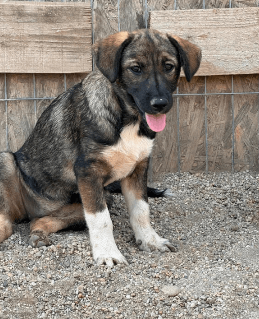 2025 08 15 09 25 43 zuleika ❤️ zarte seele sucht lieblingsmenschen in schleswig holstein lübeck