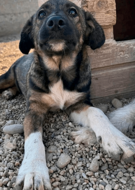 2025 08 15 09 25 47 zuleika ❤️ zarte seele sucht lieblingsmenschen in schleswig holstein lübeck