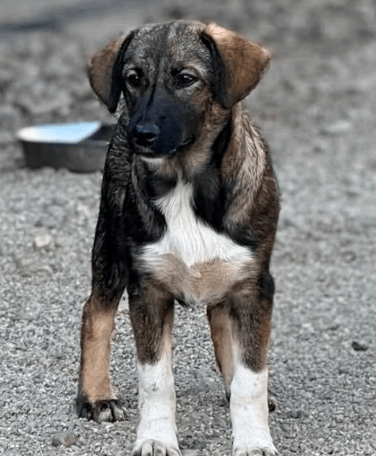 2025 08 15 09 26 05 zuleika ❤️ zarte seele sucht lieblingsmenschen in schleswig holstein lübeck