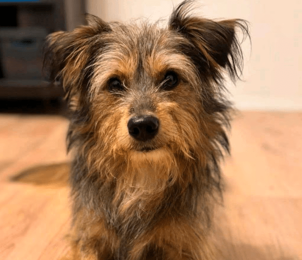 2025 09 22 10 24 31 desktop – datei explorer