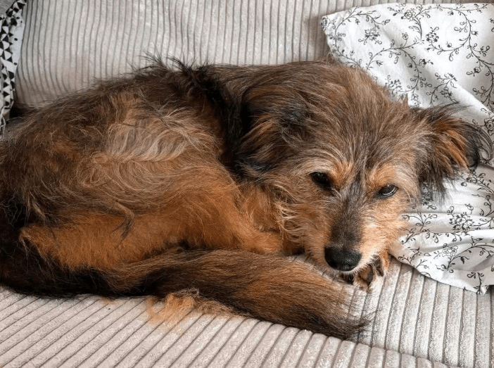 2025 09 22 10 24 36 desktop – datei explorer