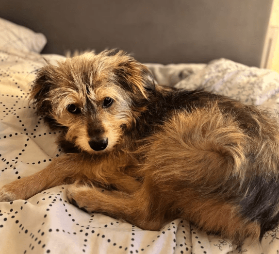 2025 09 22 10 24 41 desktop – datei explorer