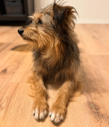 2025 09 22 10 33 07 desktop – datei explorer