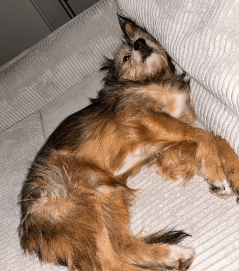 2025 09 22 10 33 19 desktop – datei explorer