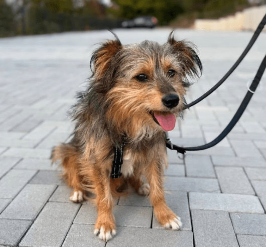 2025 09 22 10 33 25 desktop – datei explorer