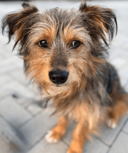 2025 09 22 10 33 32 desktop – datei explorer