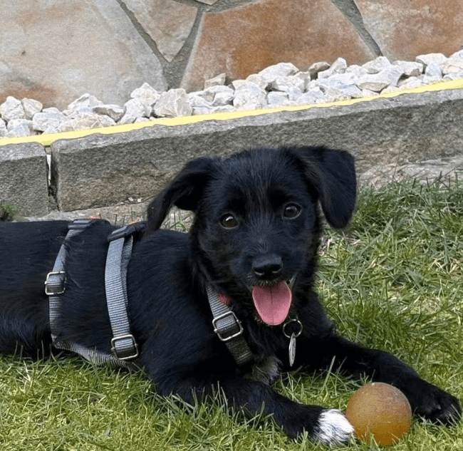 2025 09 26 09 29 00 posteingang sina.rieke kroeger@oetker.com outlook