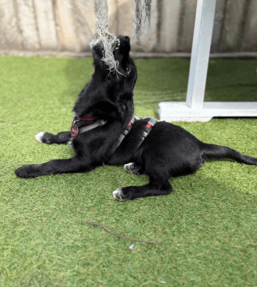 2025 09 26 09 29 04 posteingang sina.rieke kroeger@oetker.com outlook