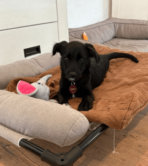 2025 09 26 09 29 09 posteingang sina.rieke kroeger@oetker.com outlook