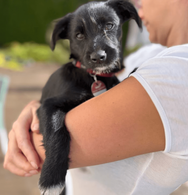 2025 09 26 09 29 13 posteingang sina.rieke kroeger@oetker.com outlook