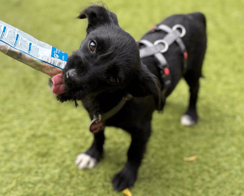 2025 09 26 09 29 18 posteingang sina.rieke kroeger@oetker.com outlook