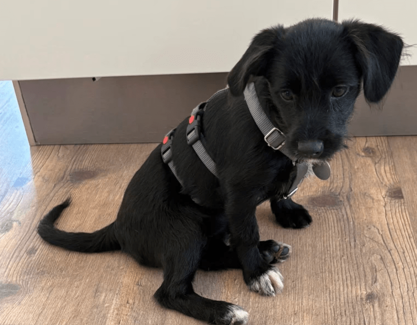 2025 09 26 09 29 40 posteingang sina.rieke kroeger@oetker.com outlook