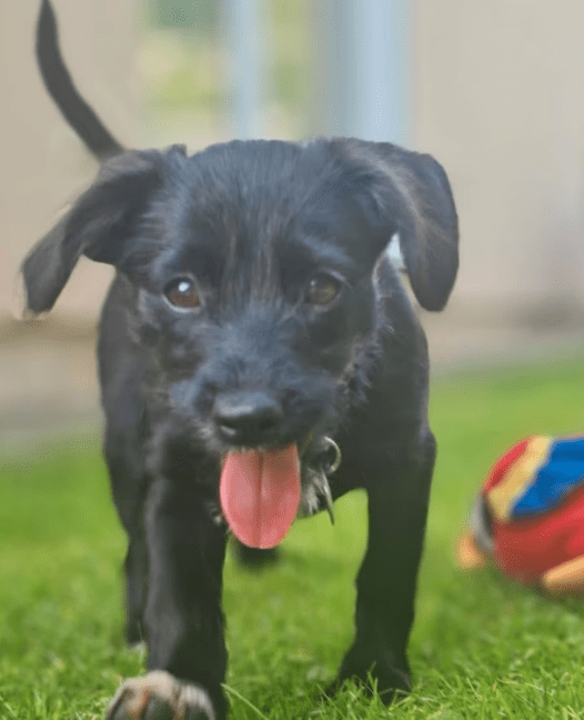 2025 09 26 09 29 44 posteingang sina.rieke kroeger@oetker.com outlook