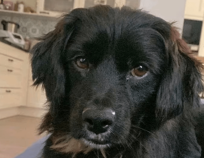 2025 10 09 14 41 11 chat teutrine, constanze microsoft teams