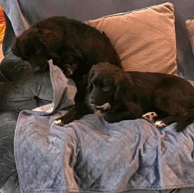 2025 10 09 14 41 28 chat teutrine, constanze microsoft teams