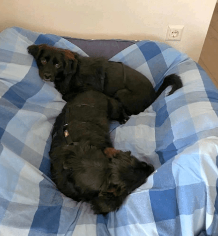 2025 10 09 14 41 34 chat teutrine, constanze microsoft teams