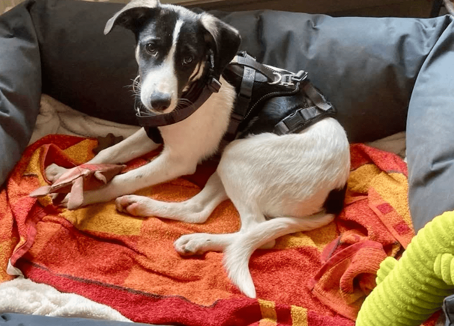 2025 11 21 11 28 14 Posteingang Sina.Rieke Kroeger@oetker.com Outlook