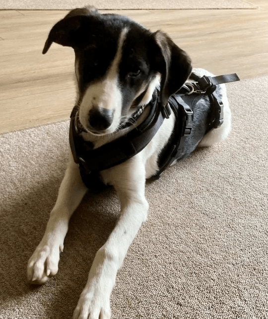 2025 11 21 11 28 27 Posteingang Sina.Rieke Kroeger@oetker.com Outlook