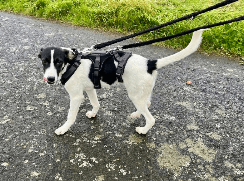 2025 11 21 11 28 32 Posteingang Sina.Rieke Kroeger@oetker.com Outlook