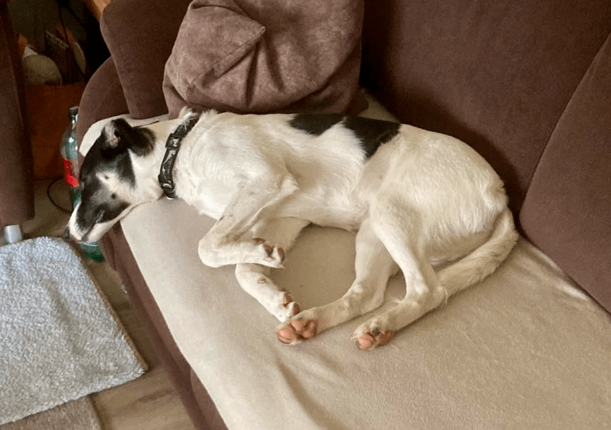 2025 11 21 11 28 40 Posteingang Sina.Rieke Kroeger@oetker.com Outlook