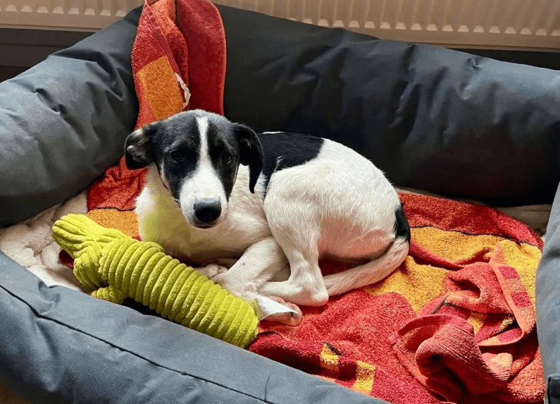 2025 11 21 11 28 46 Posteingang Sina.Rieke Kroeger@oetker.com Outlook