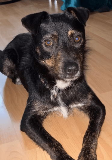 2025 12 02 10 55 52 Neue Rechnungen Bitte bearbeiten Nachricht (HTML)