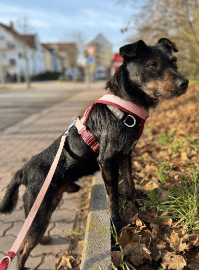 2025 12 02 10 55 56 Neue Rechnungen Bitte bearbeiten Nachricht (HTML)