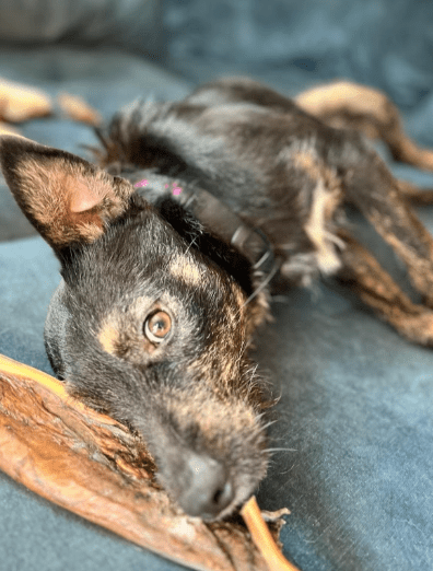 2025 12 02 10 56 01 Neue Rechnungen Bitte bearbeiten Nachricht (HTML)