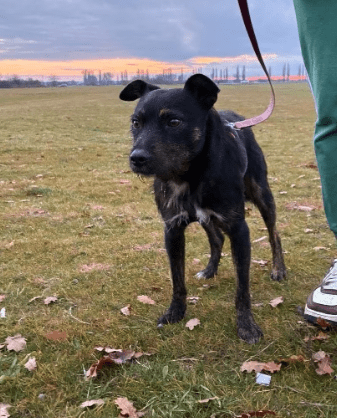 2025 12 02 10 56 05 Neue Rechnungen Bitte bearbeiten Nachricht (HTML)