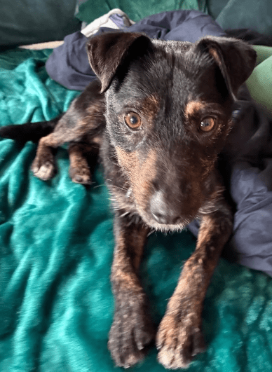 2025 12 02 10 56 09 Neue Rechnungen Bitte bearbeiten Nachricht (HTML)