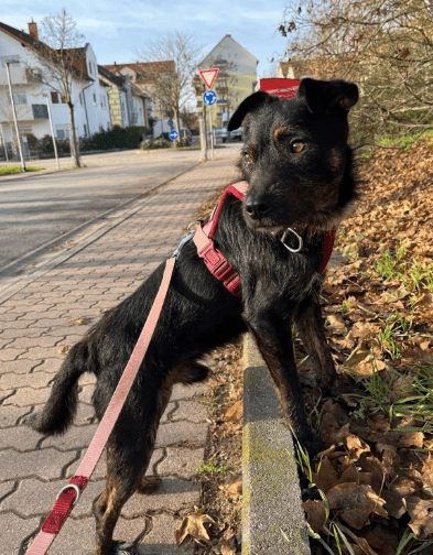 2025 12 02 10 56 12 Neue Rechnungen Bitte bearbeiten Nachricht (HTML)