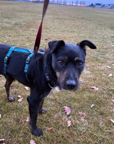 2025 12 02 10 56 17 Neue Rechnungen Bitte bearbeiten Nachricht (HTML)