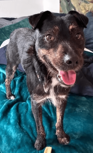 2025 12 02 10 56 21 Neue Rechnungen Bitte bearbeiten Nachricht (HTML)