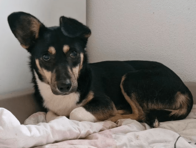 2026 01 23 18 33 37 Posteingang Sina.Rieke Kroeger@oetker.com Outlook