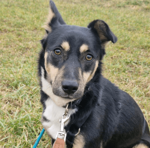 2026 01 23 18 33 56 Posteingang Sina.Rieke Kroeger@oetker.com Outlook