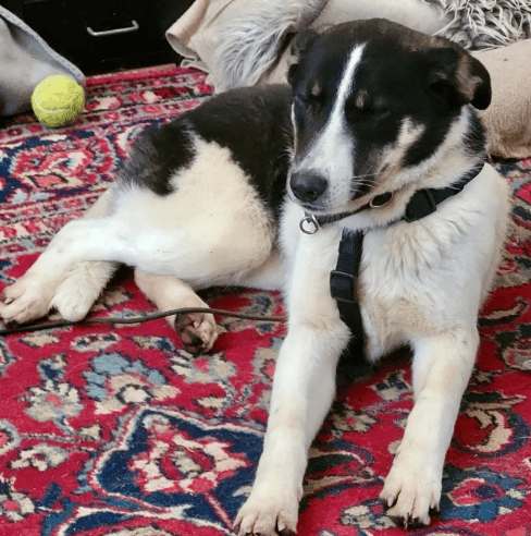 2026 02 09 08 38 56 Newsletter Subscription Nachricht (HTML) (Schreibgeschützt)