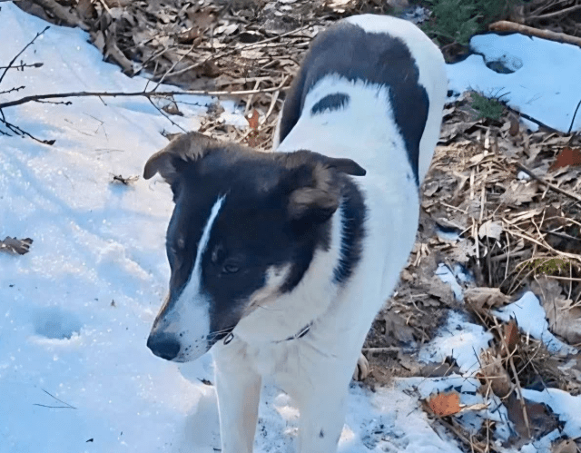 2026 02 09 08 39 00 Newsletter Subscription Nachricht (HTML) (Schreibgeschützt)