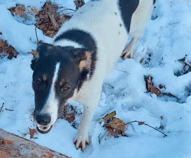 2026 02 09 08 39 15 Newsletter Subscription Nachricht (HTML) (Schreibgeschützt)