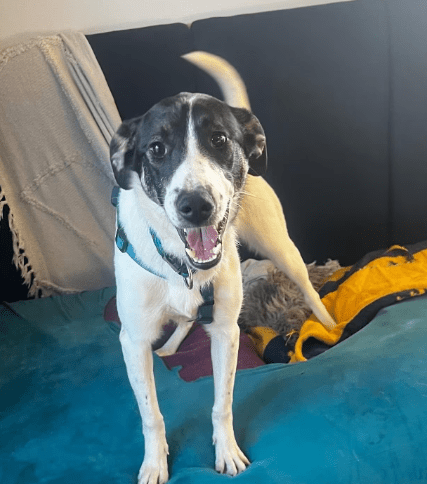 2026 02 21 08 18 25 Posteingang Sina.Rieke Kroeger@oetker.com Outlook