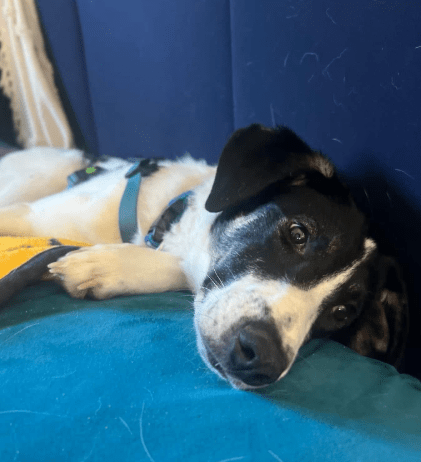 2026 02 21 08 18 31 Posteingang Sina.Rieke Kroeger@oetker.com Outlook