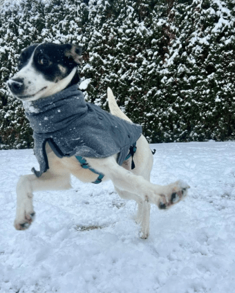 2026 02 21 08 18 36 Posteingang Sina.Rieke Kroeger@oetker.com Outlook