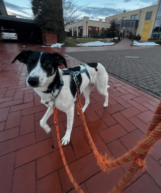 2026 02 21 08 18 40 Posteingang Sina.Rieke Kroeger@oetker.com Outlook